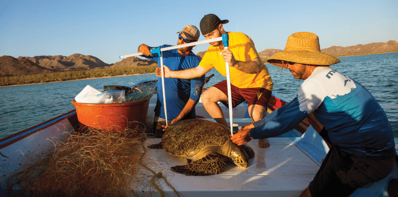 Marine Biology