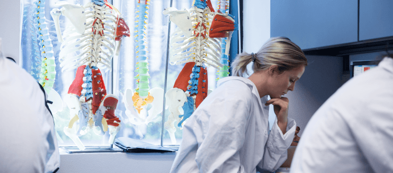 Anatomy and Physiology